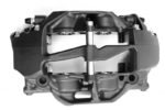 AP Racing by Essex Radi-CAL Competition Brake Kit (Rear CP9450/380mm)- R35 Nissan GT-R - Image 5